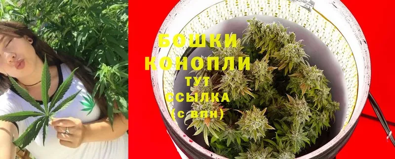 мориарти состав  Одинцово  Бошки марихуана White Widow  гидра ССЫЛКА 